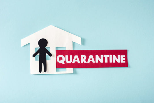 how to stay productive during the coronavirus outbreak